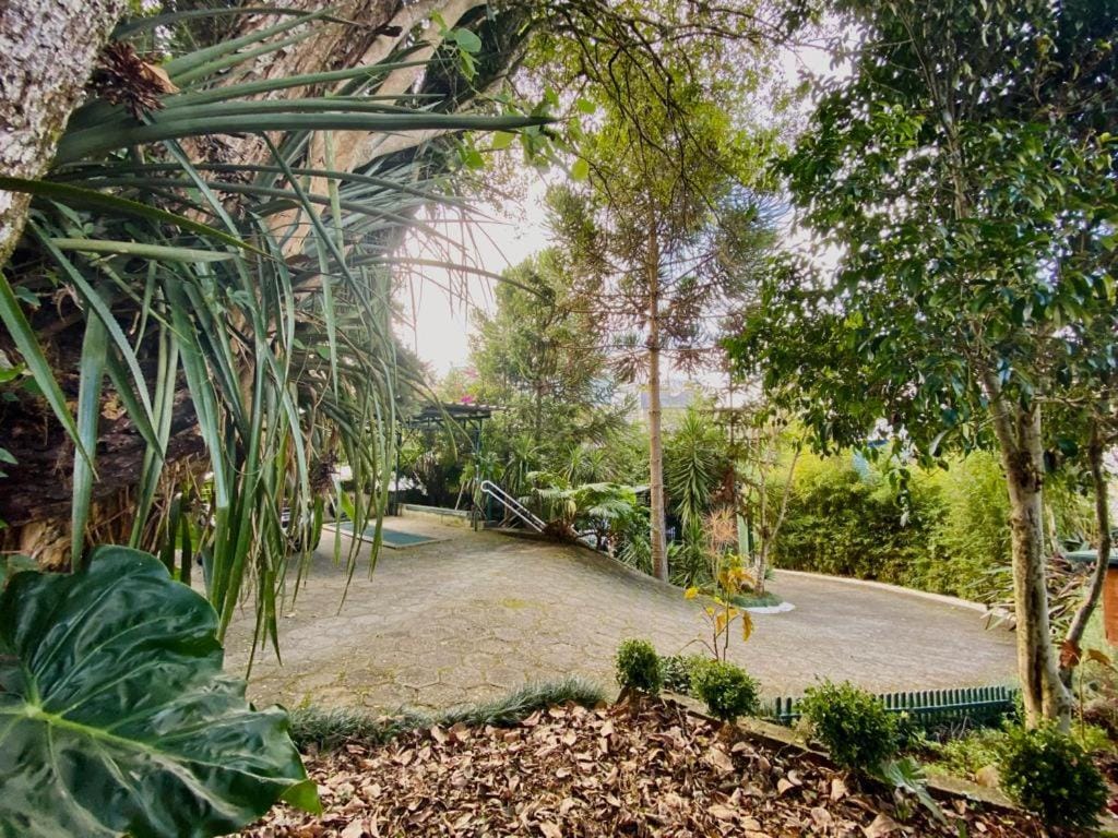 Pousada Casa Verde - Curitiba — 4