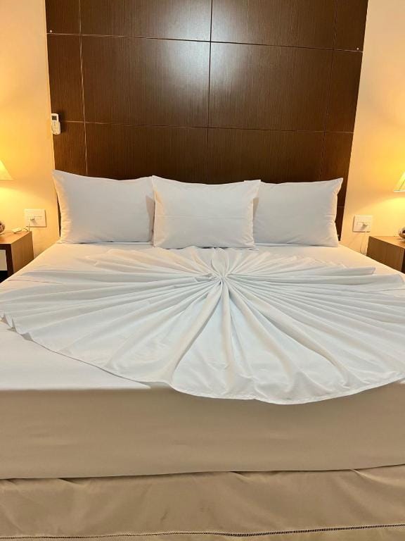 Imperador Palace Hotel Franca — 4