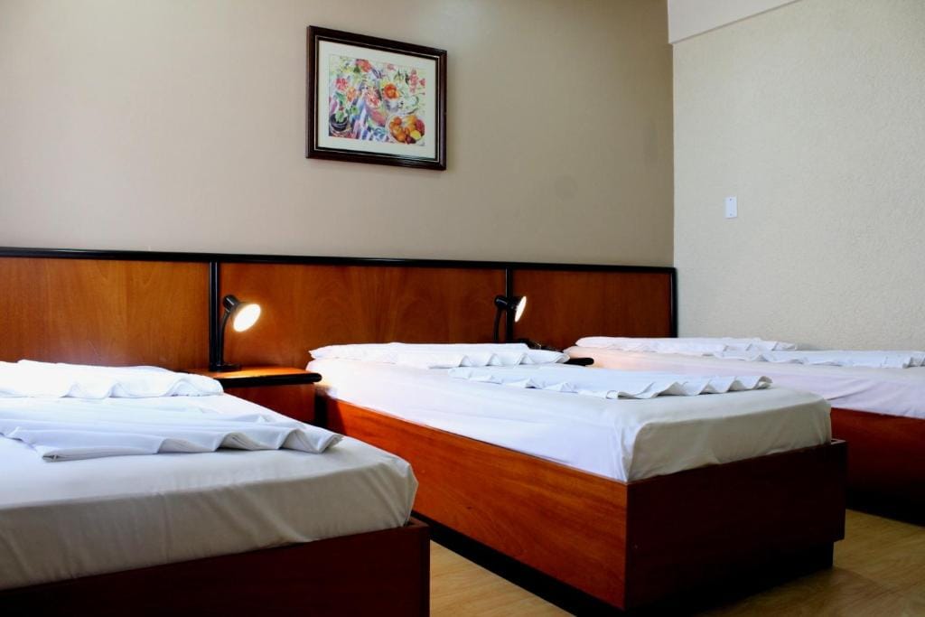 Geneviee Palace Hotel — 2