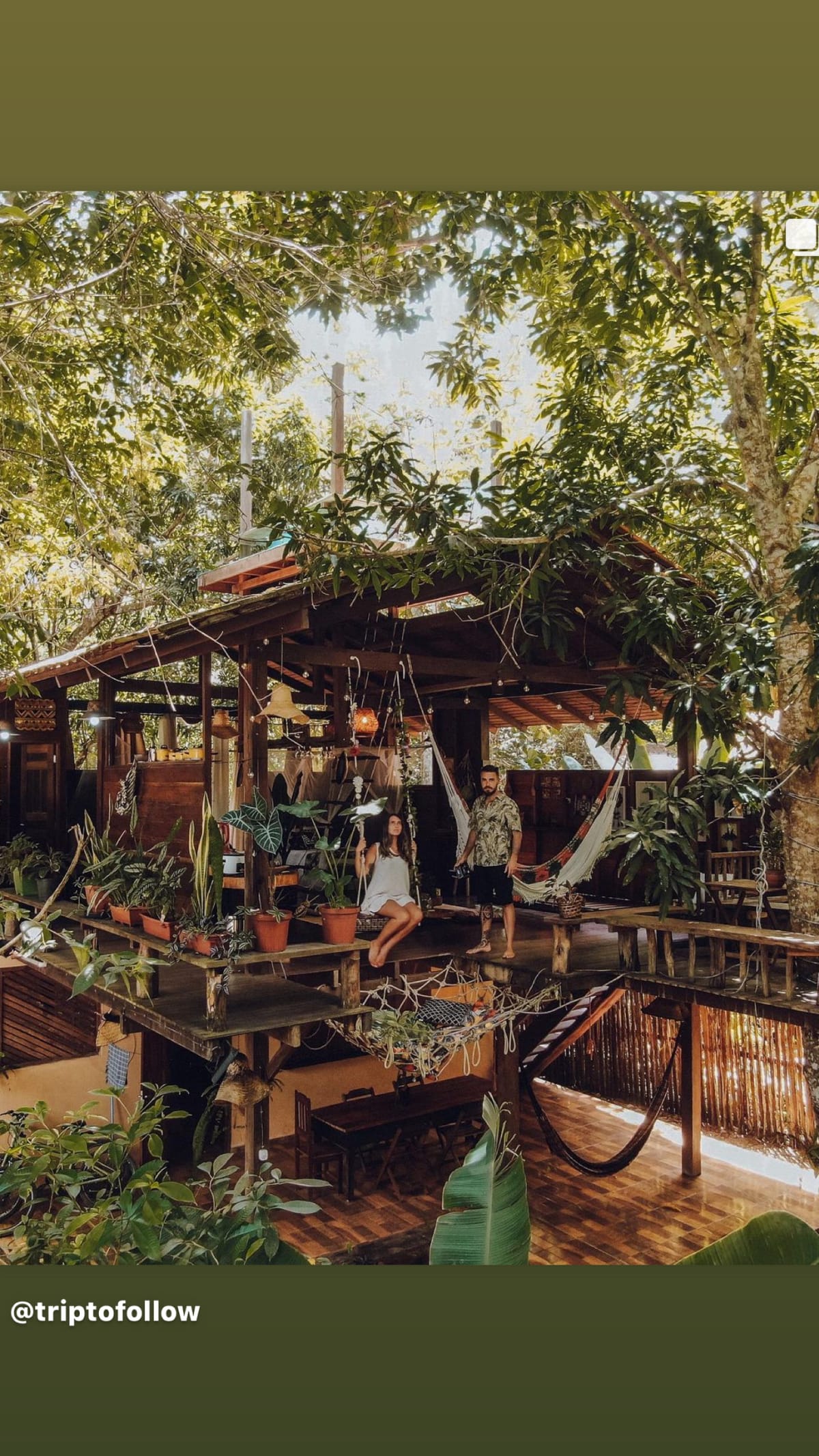 Casa Da Árvore Alter, Sonho Na Amazônia — 4