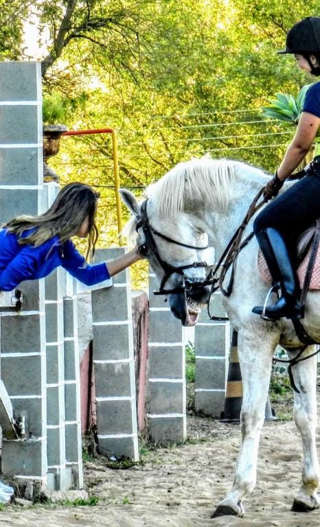Estância Jockey Clube — 4